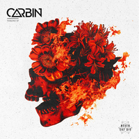 Shake It - Carbin, Hairitage