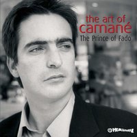 Complicadíssima Teia - Camané