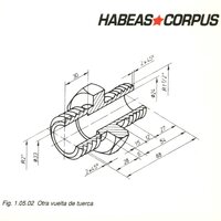 Enterrado en Vida - Habeas Corpus
