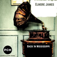 Twelve Year Old Boy - Elmore James
