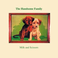 Tin Foil - The Handsome Family
