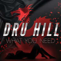 What You Need - Dru Hill