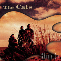 I Miss You - The Cats
