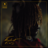 Innerstellar Love - Thundercat
