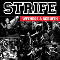 No Apologies - Strife