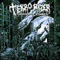 Evolving Era - Terrorizer