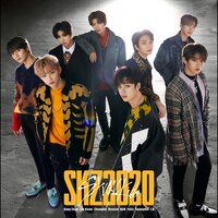 19 - Stray Kids (스트레이 키즈)