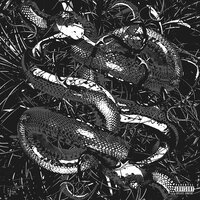 Krazy - Backwood Boy, Black Prime