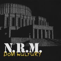 Chavajsia ŭ Bulbu! - N.R.M.