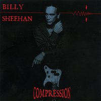 Chameleon - Billy Sheehan