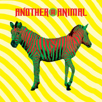 Broken Again - Another Animal