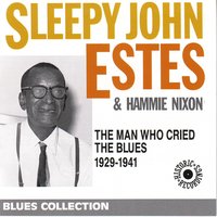 You should'nt do that - Sleepy John Estes