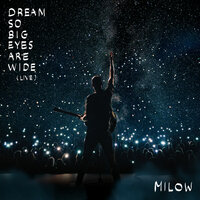 Tourist - Milow