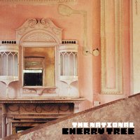 Wasp Nest - The National