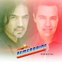 Pobre Tonto Enamorado - Los Temerarios