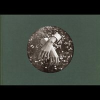 Dear Sylvan - aspidistrafly
