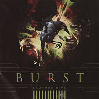 Momentum - Burst