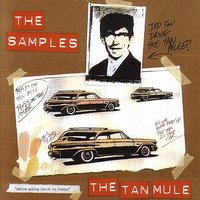 Lizard Skin - The Samples