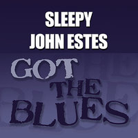 Diving Duck Blues - Sleepy John Estes