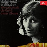 Mein wenzelsplatz - Václav Neckář, Bacily