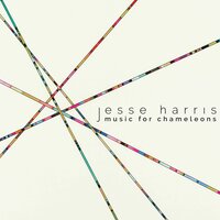 You Can Only Wait So Long - Jesse Harris