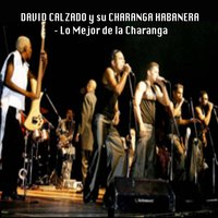 ¡Ay! Ay Amor - David Calzado y Su Charanga Habanera, Leonys Torres