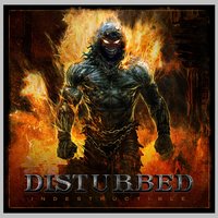 Perfect Insanity - Disturbed