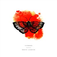 The Lake - Typhoon