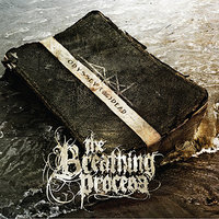 Vultures - The Breathing Process