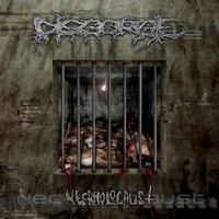 Goremassacre Perversity - Disgorge