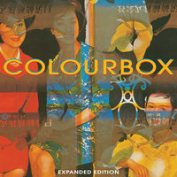 The Moon Is Blue - Colourbox