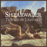 So Bad - Shearwater