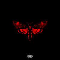 No Worries - Lil Wayne, Detail