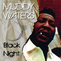 Things That I Used to Do - Muddy Waters