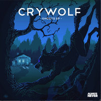 The Moon Is Falling Down - Crywolf