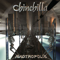 Money Rules Everything - Chinchilla