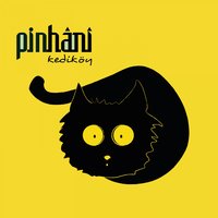 Kurtar - Pinhani