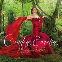 Güle Güle - Candan Ercetin