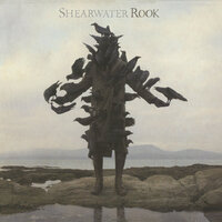 The Snow Leopard - Shearwater