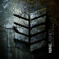 Believe Your Eyes - Nine Lashes