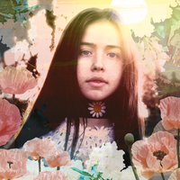 Wildflower - Flo Morrissey