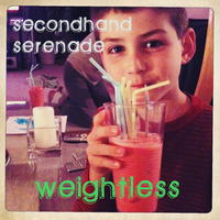 Animal - Secondhand Serenade