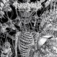Clockwise Metamorphosis - Tomb Mold