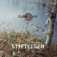 Ditt andra jag - Stiftelsen