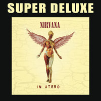 Pennyroyal Tea - Nirvana