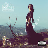 Hey Hi - Cillie Barnes