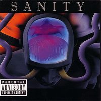 Never Again - Sanity