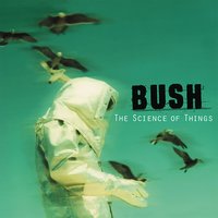 Jesus Online - Bush
