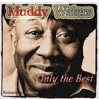 Mad Love - Muddy Waters