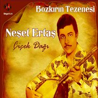 Dönberi - Neşet Ertaş